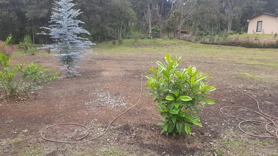 Espectyacular Lote En Venta En La Ceja Sector La Cristalina El Tambo