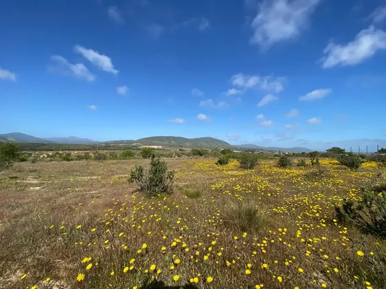 Parcela En Las Mesetas Del Chivato, Los Molles