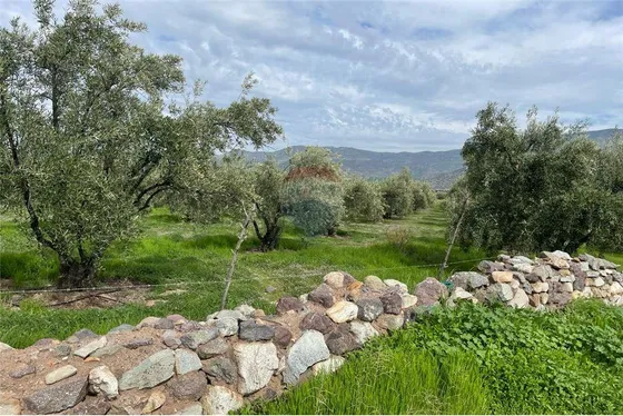 Imperdible Precio¡¡  Parcela En San Felipe