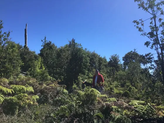Terreno 845 Hectáreas Forestal, Cerca De Caleta Condor