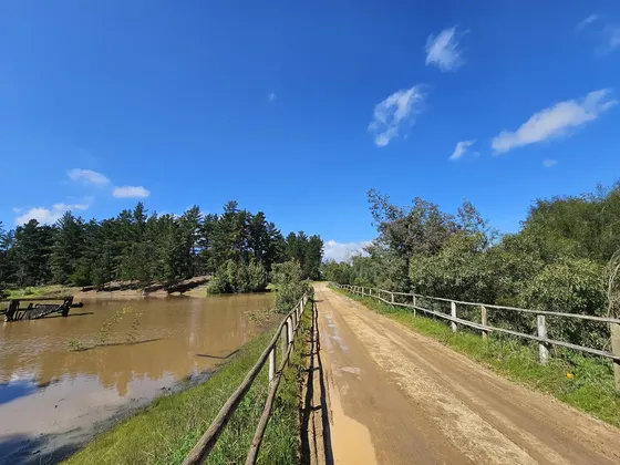 Maravillosas Parcelas Planas, Portería, Red De Agua Y Luz