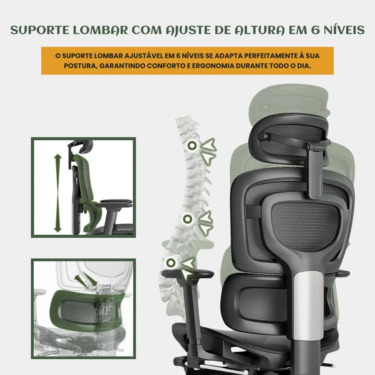Vista traseira da cadeira destacando o suporte lombar ajustável em 6 níveis com ilustração da coluna vertebral