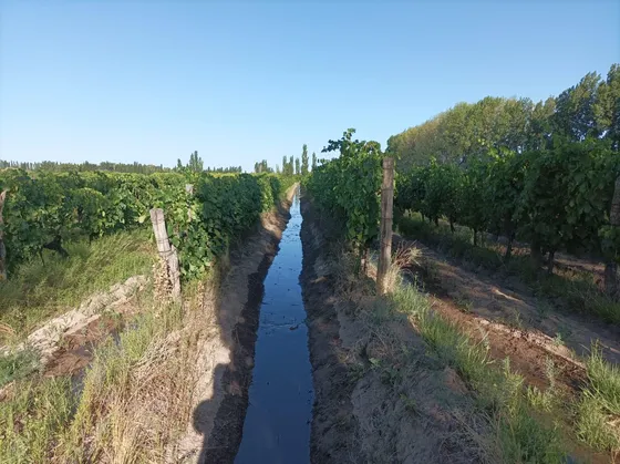 Finca Con Produccion Y Vivienda 