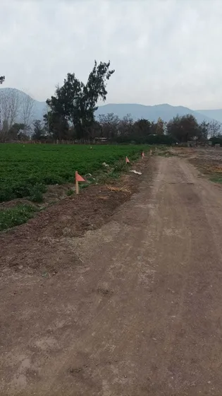 Venta Sitio Talagante (71622)