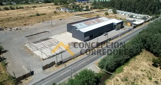 Arriendo Local Comercial En Ruta N_425, 1700 M2, Con Oficina