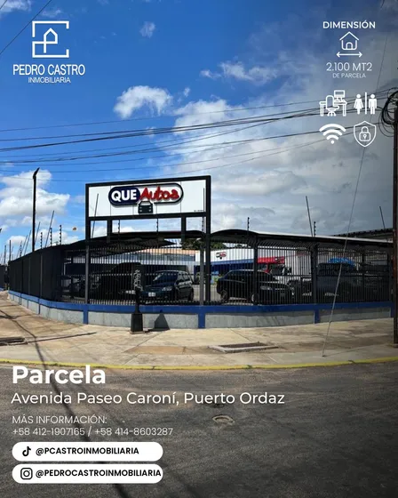 Venta Agencia Vehiculo Plena Avenida Paseo Caroni