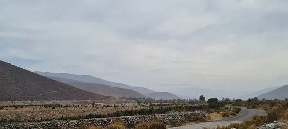 Hermoso Predio En La Canela, Longotoma