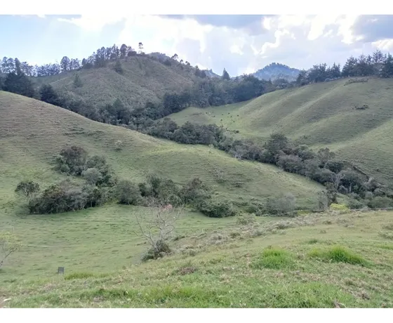Lote En Venta En Exclusivo Proyecto, En El Retiro Don Diego- La Ceja