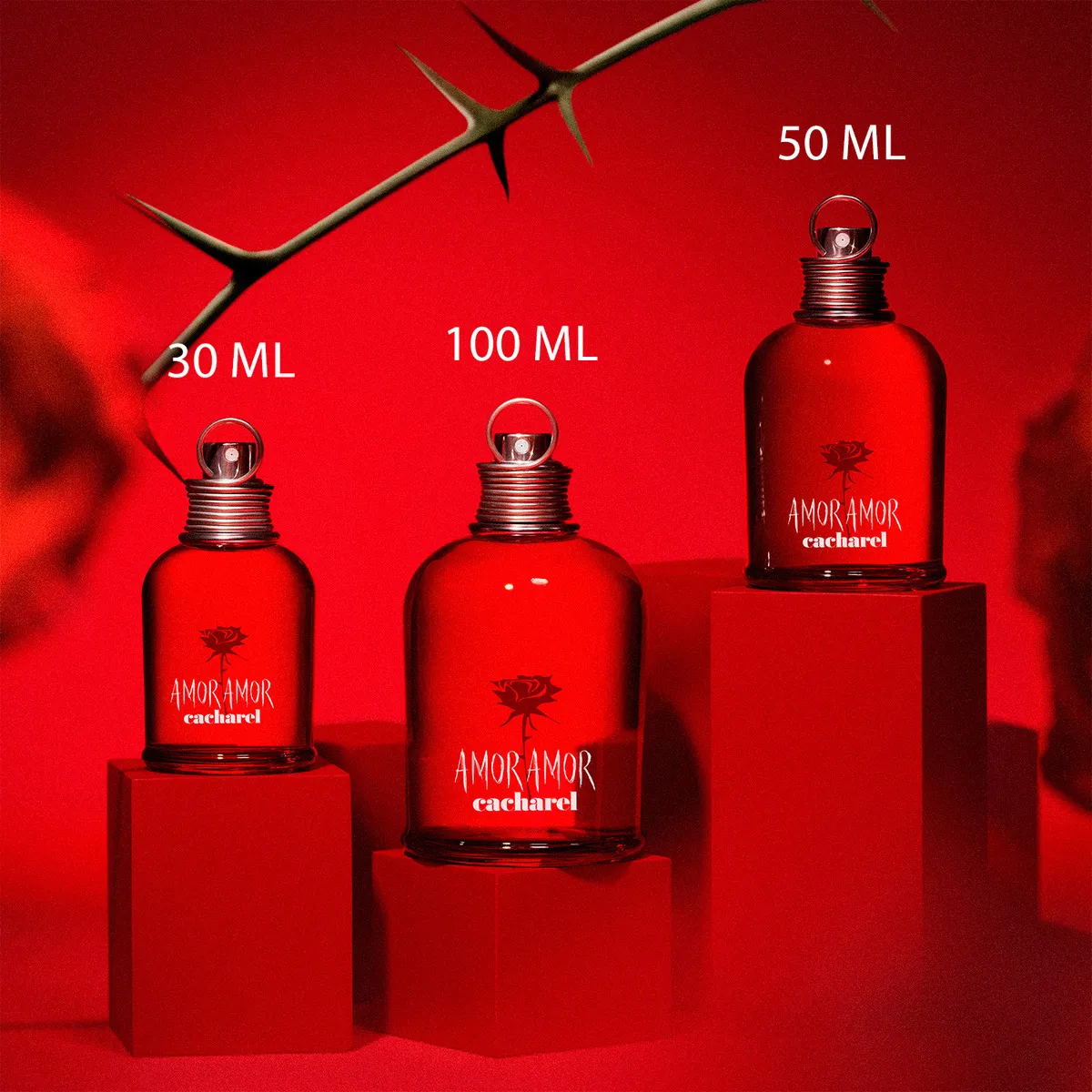 Perfume Feminino Cacharel Amor Amor Eau de Toilette Floral Frutado 100ml - Imagem 3