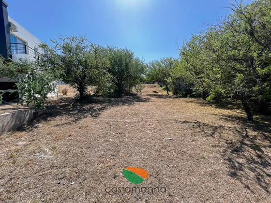 Lote Central Las Cañitas 570mts2