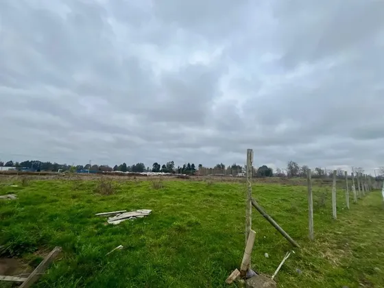 Parcela Industrial En Venta En San Pablo 15km De Osorno