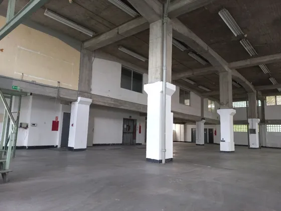 Local Industrial Para Uso Comercial Y/o Deposito Con Ascensor De Carga,techos Doble Altura De 6 Mtrs2 En Palo Verde Mls# 25-24172 Francis Zeppieri