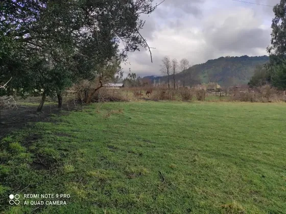 Parcela En Venta | 5.000 M² | Riñinahue - Lago Ranco