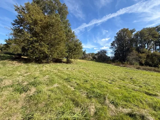 Venta Terreno Santuario De Villarrica
