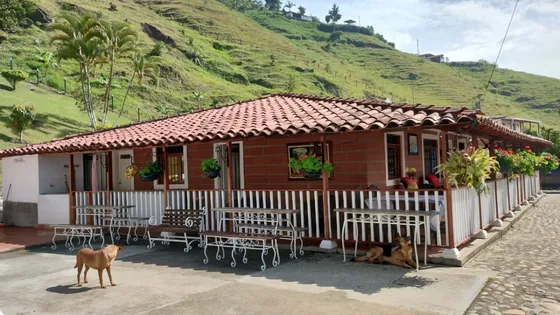 Se Vende Casa Campestre Con Excelente Área Para Cultivar.y Hermosa Panorámica.