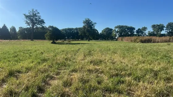 Agrícola En Venta En Río Negro
