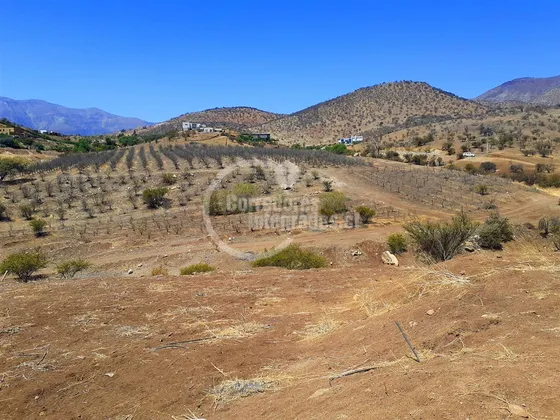 Parcela En Arriendo En Colina
