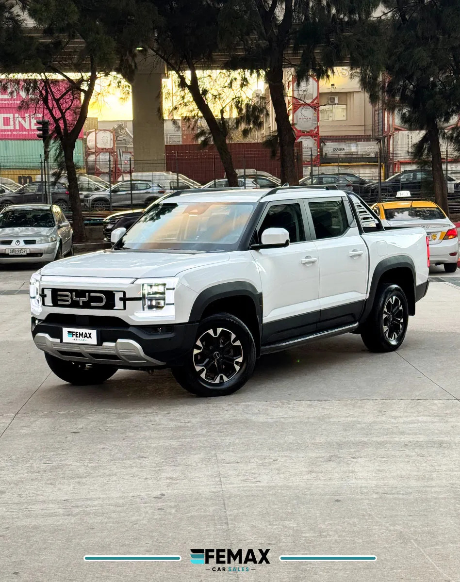 2025 BYD Shark