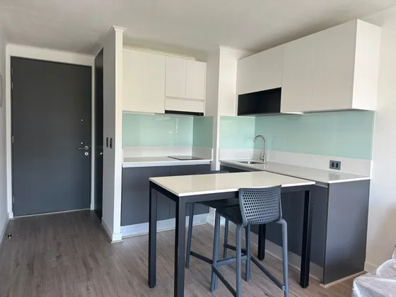 Arriendo Departamento  1 D 1b Semiamoblado Ricardo Lyon 1171
