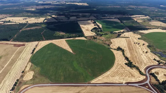 Campo Agrícola 126 Ha Pemuco C/ Riego Pivote Ñuble