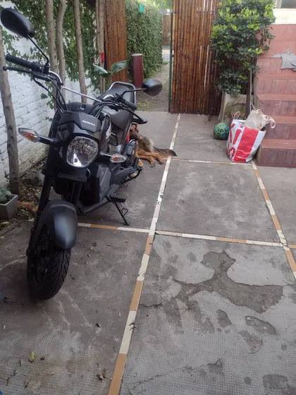 Honda Navi 2024