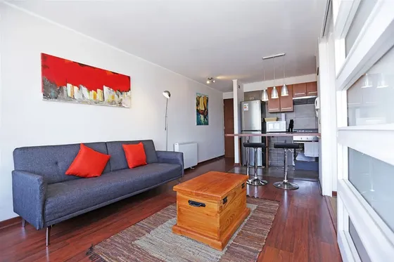 Departamento En Arriendo De 1 Dorm. En Recoleta