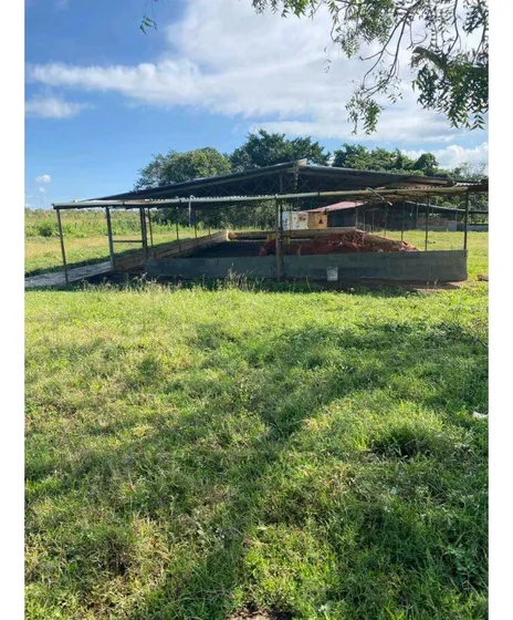 Finca Granja, Capacidad 10.000 Aves En Tinaquillo, Luz Trifasica, Pozo