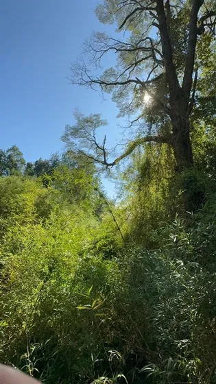 Sitio En Venta En Valdivia Punucapa