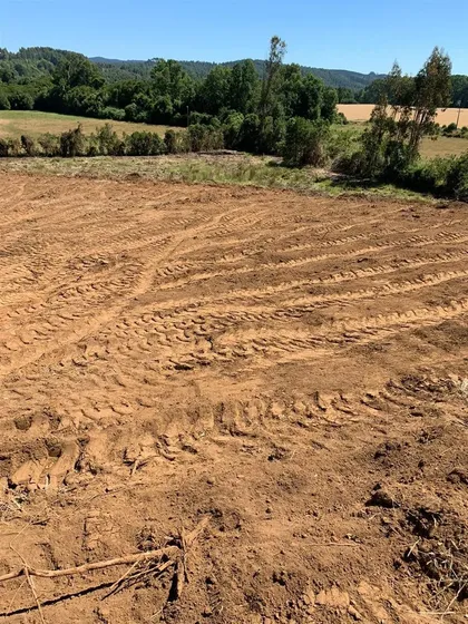 Parcela En Venta De 1.8 Ha En Valdivia