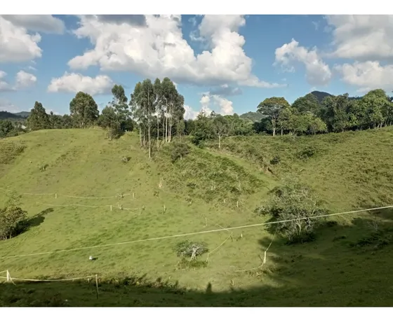 Lote En Venta En Proyecto Exclusivo, En El Retiro Sector El Chuscal