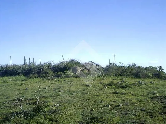 Sitio En Venta En Talinay Ovalle 