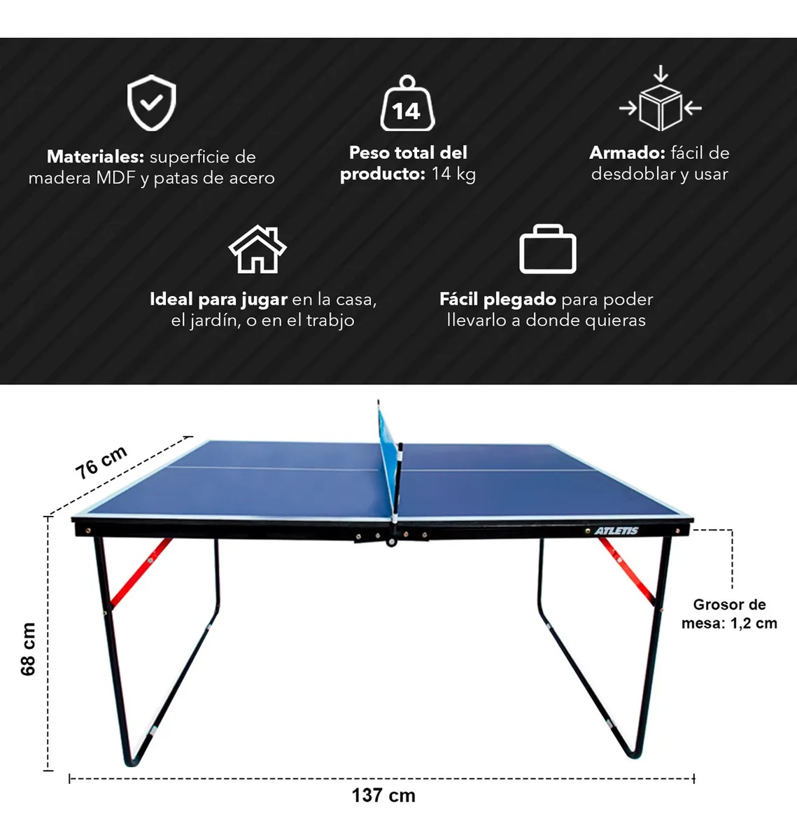 Mini Mesa de Ping Pong