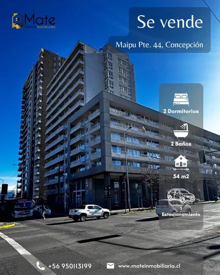 Se Vende Departamento En Concepción 