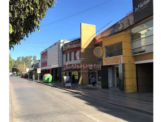 Local Comercial En Arriendo En Copiapó