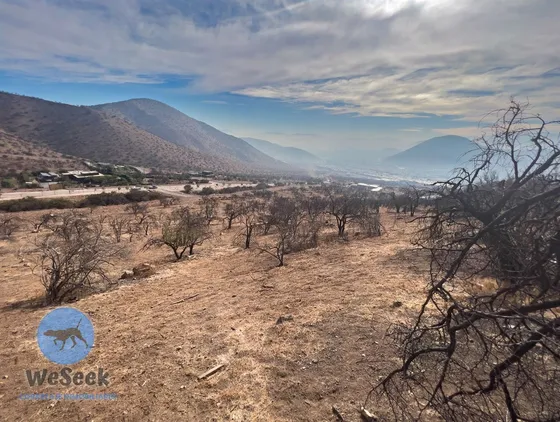 Sitio En Venta En Chicureo ,colina