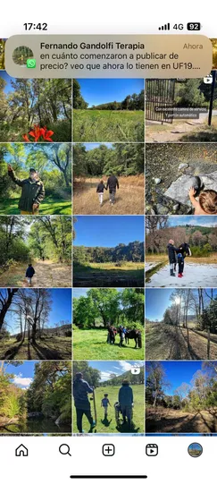 Parcela Urbana En Termas De Chillán