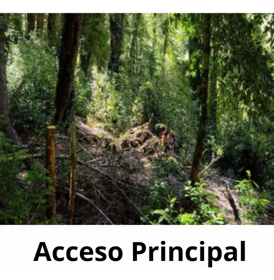 Agrícola Forestal En Venta En Cunco Ideal Proyecto Turistico
