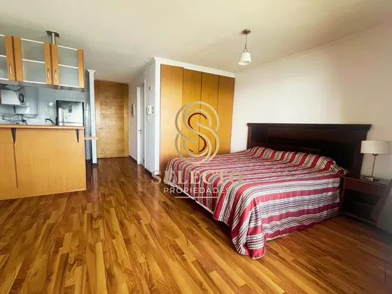 Se Arrienda Departamento Estudio Frente Al Mar
