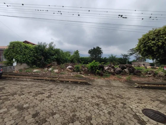Lote En Venta En Recta Corozal. Cod V28968