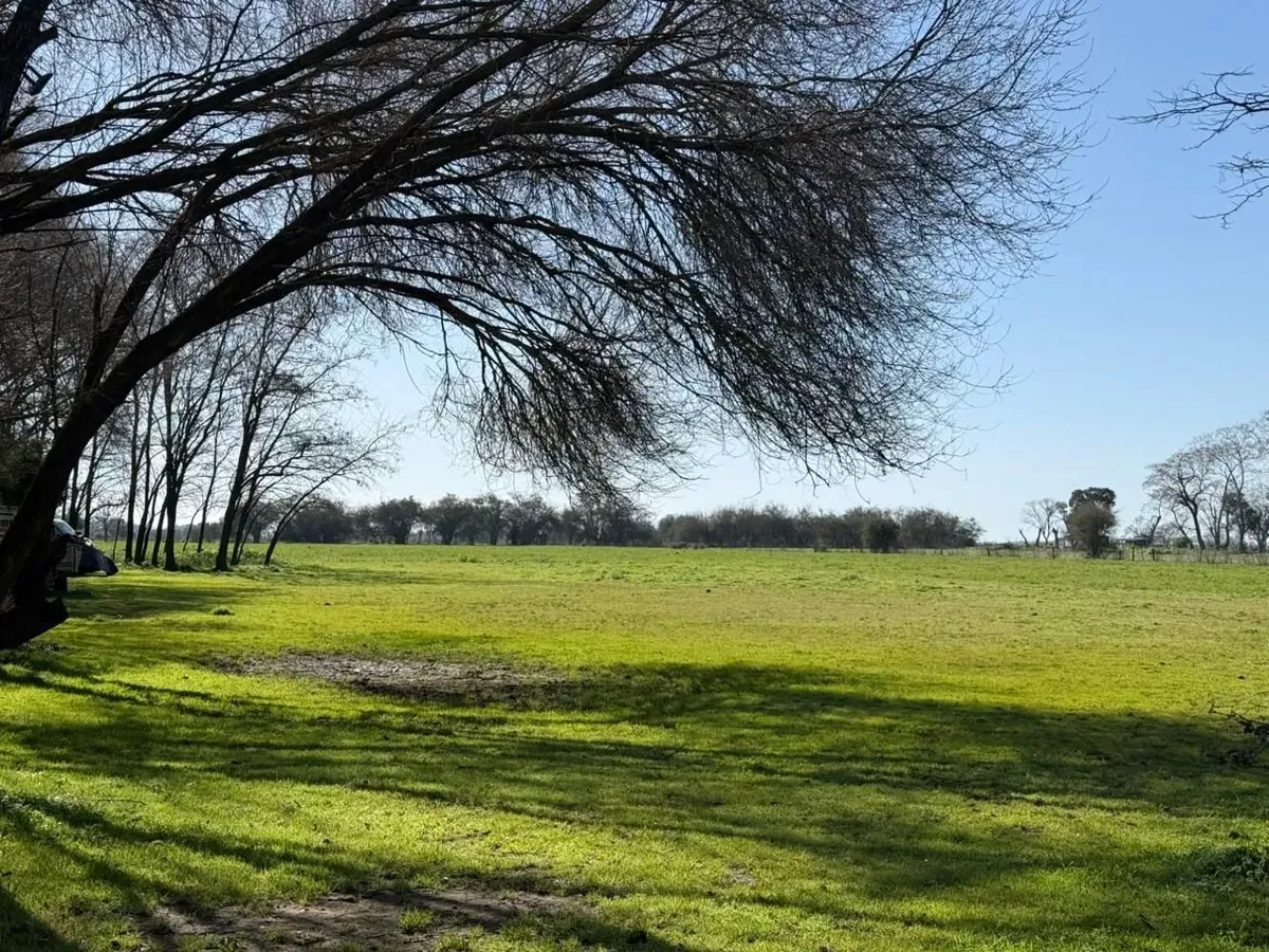 Terreno En Venta En Empalme Lobos