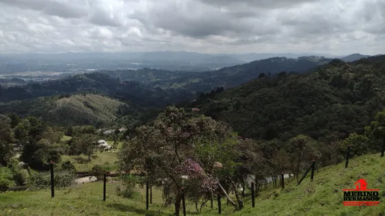 Terreno En Venta En Rionegro. Cod V4647