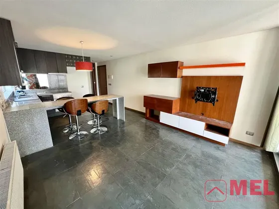 Departamento En Venta De 1 Dorm. En Providencia