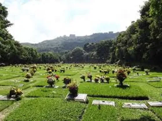 Se Venden Dos Parcelas En El Cementerio Del Este