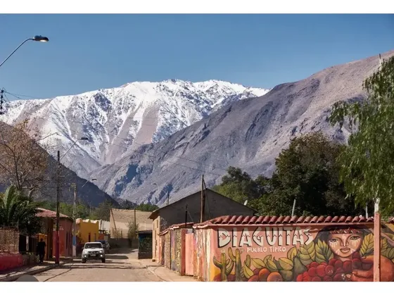 Vive La Tranquilidad Del Valle De Elqui.