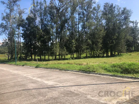 Terreno En Venta Fracc. Manantial Zona Coapexpan Xalapa Veracruz.