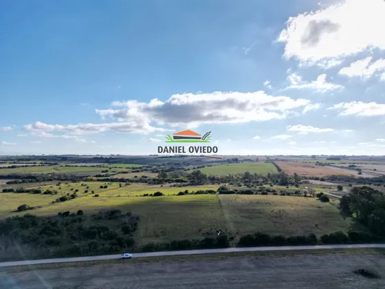 Campo Agrícola Ganadero De 20,95 Has En Miguelete De Campana.
