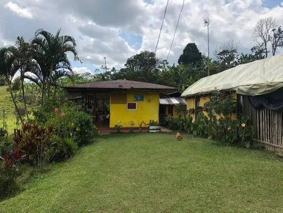 Venta Finca  Darién Valle Del Cauca