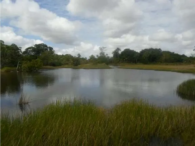 Finca De 9.080 Ha Guarico Con Pista Aterrizaje Autorizada