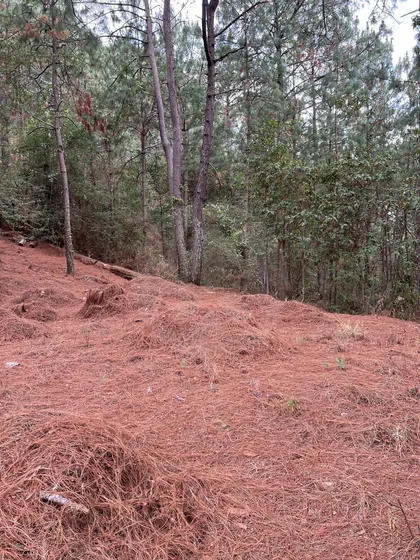 Terreno Residencial En Venta En Pueblo Mazamitla