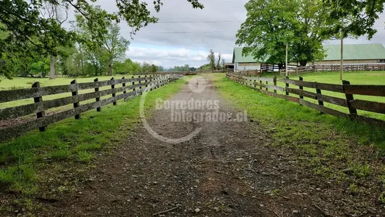Parcela De 50 Hect./ 59 Lotes De 5.000 M2 En Villarrica